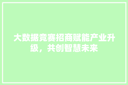 大数据竞赛招商赋能产业升级，共创智慧未来