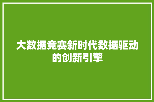 大数据竞赛新时代数据驱动的创新引擎