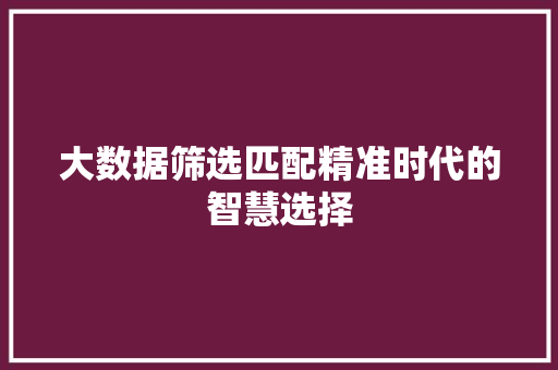 大数据筛选匹配精准时代的智慧选择
