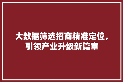大数据筛选招商精准定位，引领产业升级新篇章