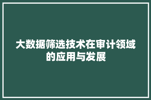 大数据筛选技术在审计领域的应用与发展