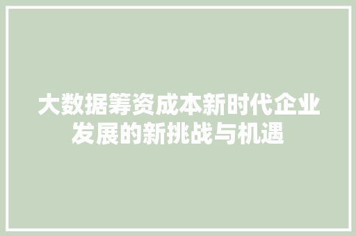 大数据筹资成本新时代企业发展的新挑战与机遇