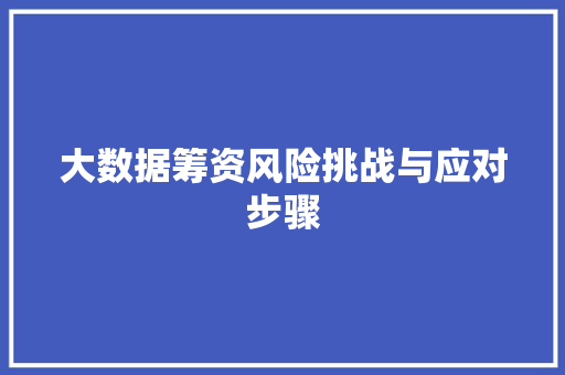 大数据筹资风险挑战与应对步骤