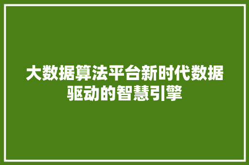 大数据算法平台新时代数据驱动的智慧引擎