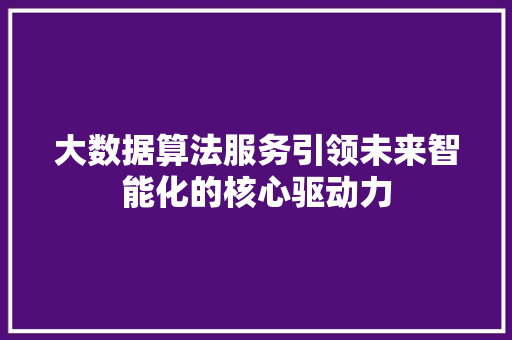 大数据算法服务引领未来智能化的核心驱动力