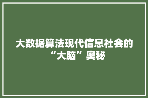 大数据算法现代信息社会的“大脑”奥秘
