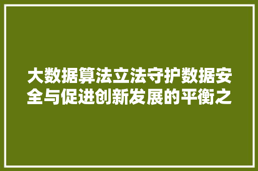 大数据算法立法守护数据安全与促进创新发展的平衡之路