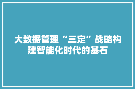 大数据管理“三定”战略构建智能化时代的基石