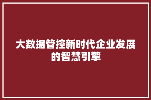 大数据管控新时代企业发展的智慧引擎