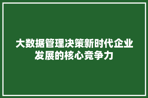 大数据管理决策新时代企业发展的核心竞争力