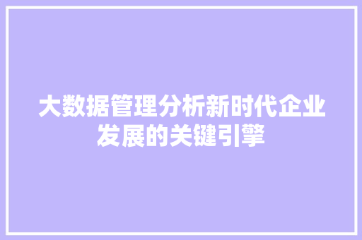 大数据管理分析新时代企业发展的关键引擎
