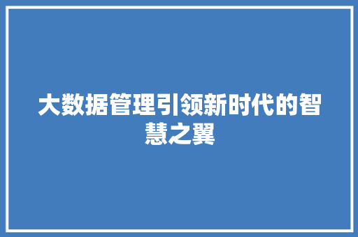 大数据管理引领新时代的智慧之翼