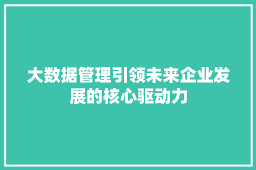 大数据管理引领未来企业发展的核心驱动力