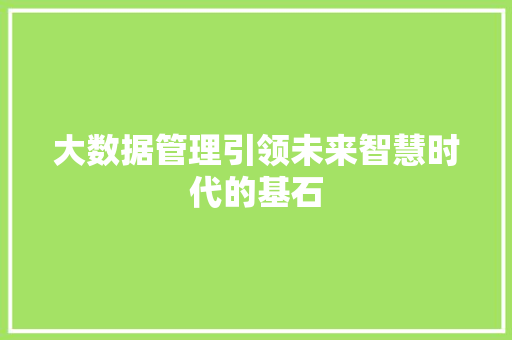 大数据管理引领未来智慧时代的基石
