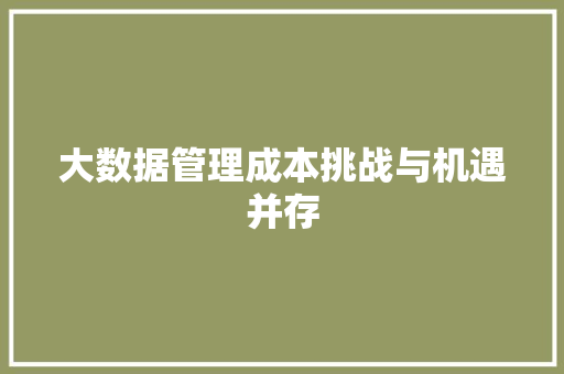 大数据管理成本挑战与机遇并存