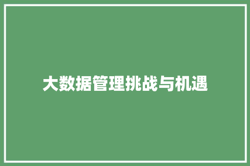 大数据管理挑战与机遇