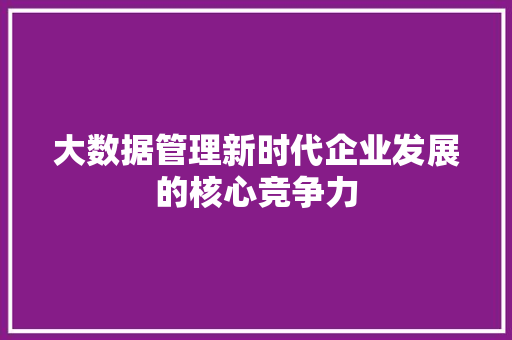 大数据管理新时代企业发展的核心竞争力