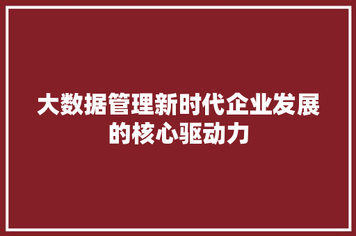 大数据管理新时代企业发展的核心驱动力