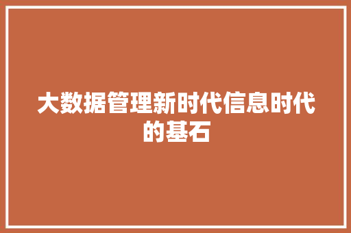 大数据管理新时代信息时代的基石
