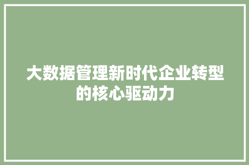 大数据管理新时代企业转型的核心驱动力