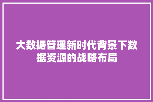 大数据管理新时代背景下数据资源的战略布局
