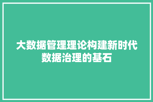 大数据管理理论构建新时代数据治理的基石
