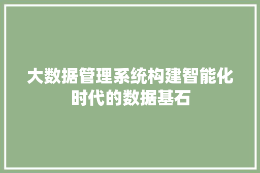 大数据管理系统构建智能化时代的数据基石