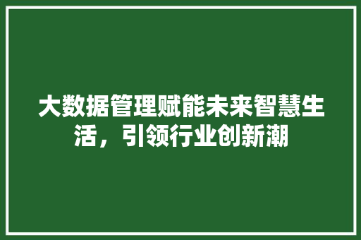 大数据管理赋能未来智慧生活，引领行业创新潮