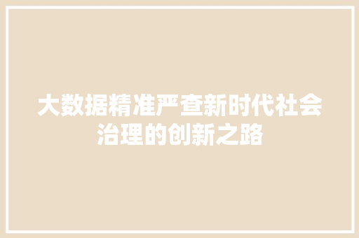 大数据精准严查新时代社会治理的创新之路