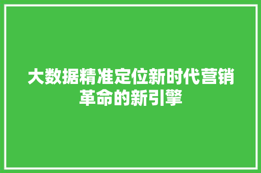 大数据精准定位新时代营销革命的新引擎