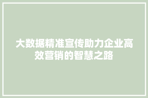 大数据精准宣传助力企业高效营销的智慧之路