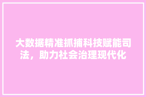 大数据精准抓捕科技赋能司法，助力社会治理现代化