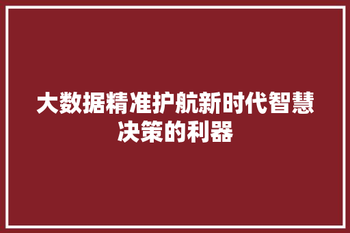 大数据精准护航新时代智慧决策的利器