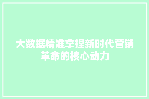 大数据精准拿捏新时代营销革命的核心动力
