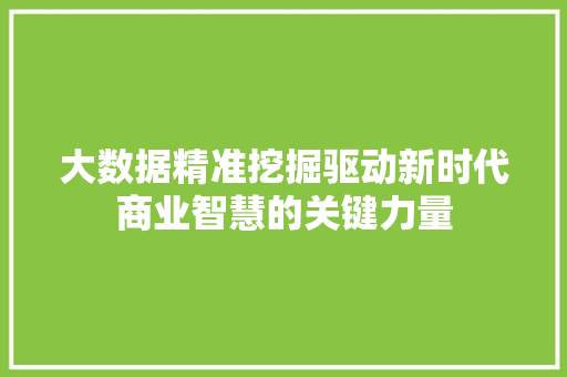 大数据精准挖掘驱动新时代商业智慧的关键力量