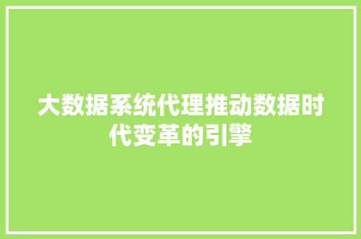 大数据系统代理推动数据时代变革的引擎