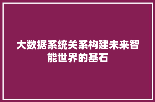大数据系统关系构建未来智能世界的基石