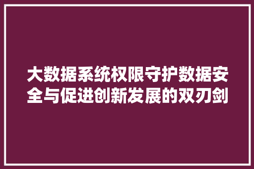 大数据系统权限守护数据安全与促进创新发展的双刃剑