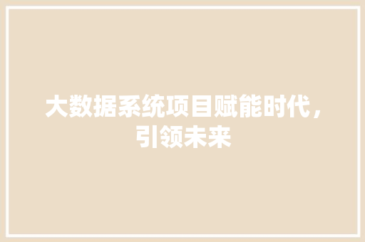 大数据系统项目赋能时代，引领未来