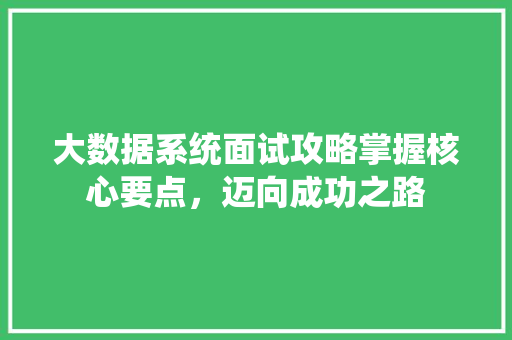 大数据系统面试攻略掌握核心要点，迈向成功之路