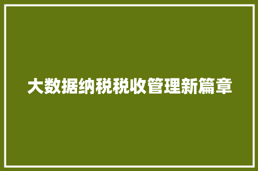 大数据纳税税收管理新篇章