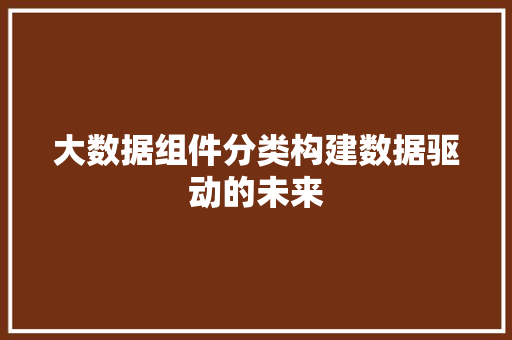 大数据组件分类构建数据驱动的未来