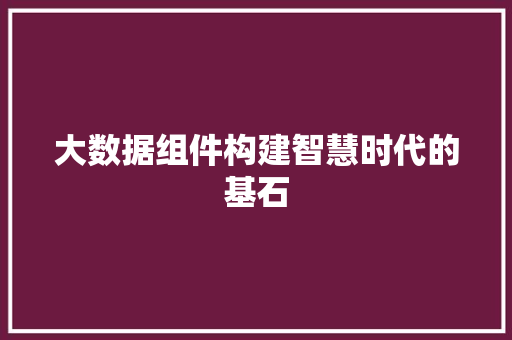大数据组件构建智慧时代的基石