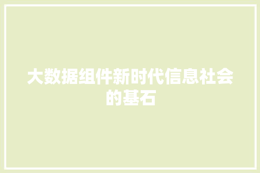 大数据组件新时代信息社会的基石