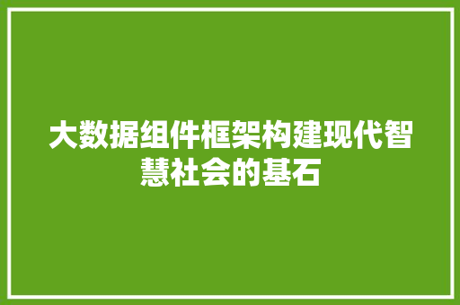 大数据组件框架构建现代智慧社会的基石