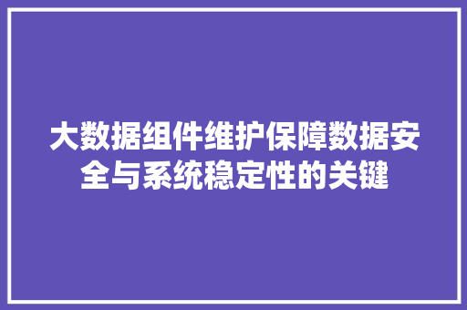 大数据组件维护保障数据安全与系统稳定性的关键