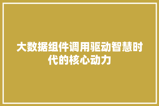 大数据组件调用驱动智慧时代的核心动力