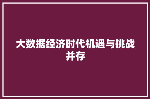 大数据经济时代机遇与挑战并存