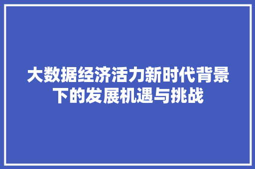 大数据经济活力新时代背景下的发展机遇与挑战
