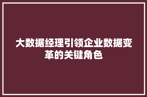 大数据经理引领企业数据变革的关键角色